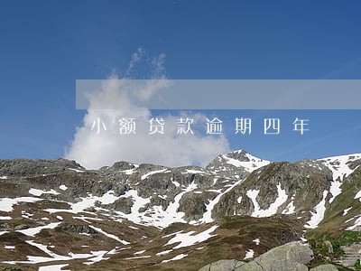 小额贷款逾期四年 小额贷款逾期四年