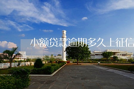 小额贷款逾期多久上征信记录 小额贷款逾期多久上征信记录