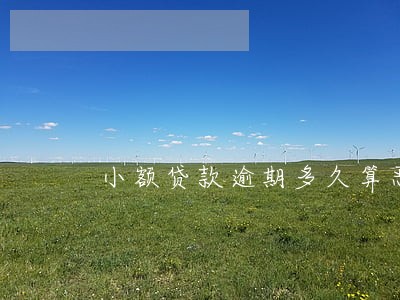 小额贷款逾期多久算恶意欠款
