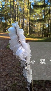 小额贷款逾期多久要起诉 小额贷款逾期多久要起诉