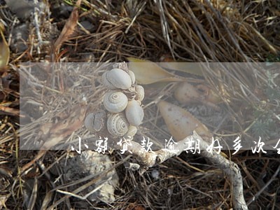 小额贷款逾期好多次会怎样 小额贷款逾期好多次会怎样