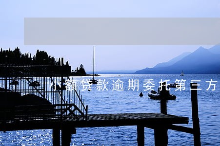 小额贷款逾期委托第三方 小额贷款逾期委托第三方