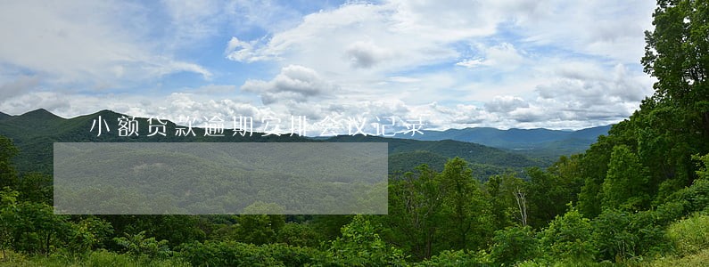 小额贷款逾期安排会议记录