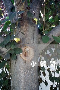 小额贷款逾期实在无力还 小额贷款逾期实在无力还