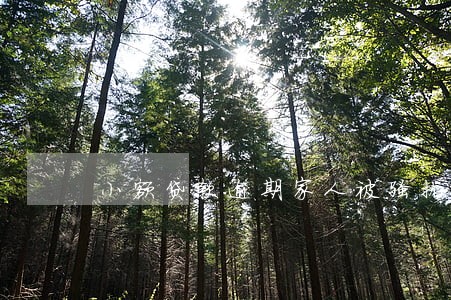 小额贷款逾期家人被骚扰 小额贷款逾期家人被骚扰