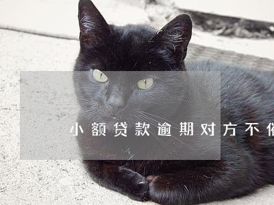 小额贷款逾期对方不催