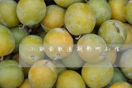 小额贷款逾期影响征信 小额贷款逾期影响征信
