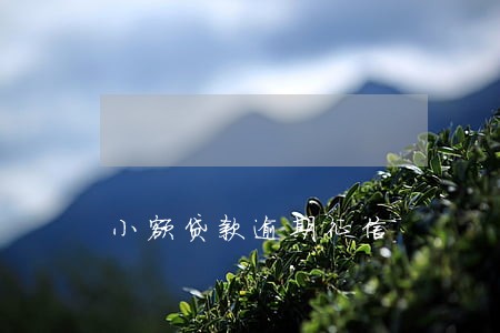 小额贷款逾期征信 小额贷款逾期征信