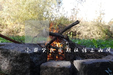 小额贷款逾期征信上如何显示 小额贷款逾期征信上如何显示