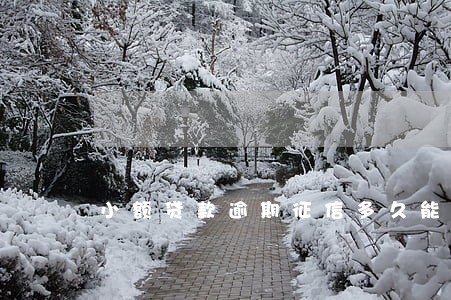 小额贷款逾期征信多久能恢复 小额贷款逾期征信多久能恢复