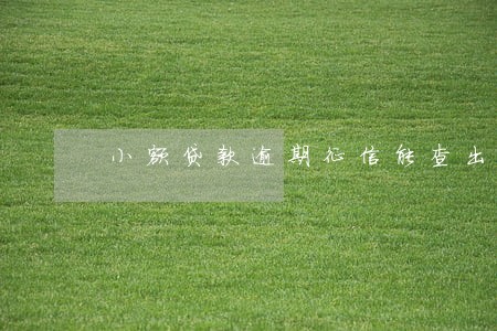 小额贷款逾期征信能查出来吗 小额贷款逾期征信能查出来吗