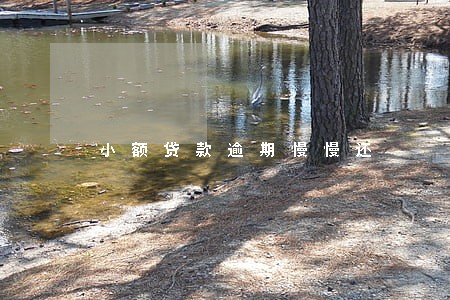 小额贷款逾期慢慢还 小额贷款逾期慢慢还