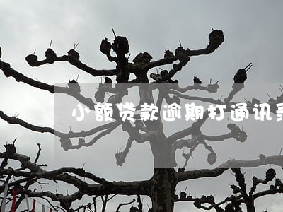 小额贷款逾期打通讯录违法 小额贷款逾期打通讯录违法