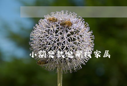 小额贷款逾期找家属 小额贷款逾期找家属