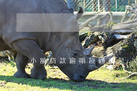小额贷款逾期拉通讯录