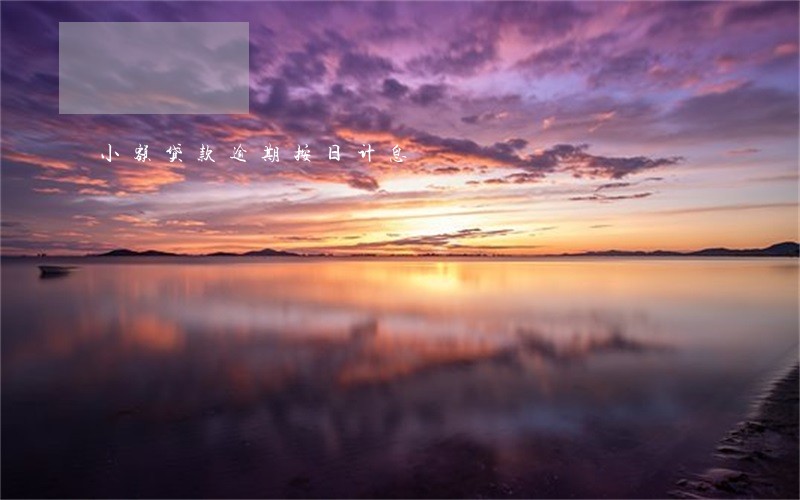 小额贷款逾期按日计息 小额贷款逾期按日计息