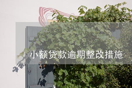 小额贷款逾期整改措施 小额贷款逾期整改措施