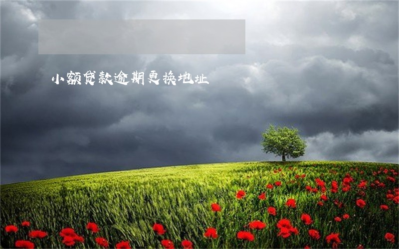 小额贷款逾期更换地址 小额贷款逾期更换地址