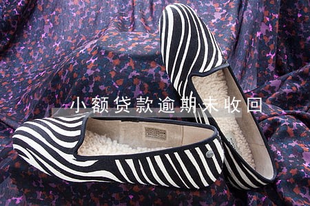 小额贷款逾期未收回 小额贷款逾期未收回