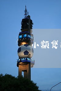 小额贷款逾期没人催款 小额贷款逾期没人催款