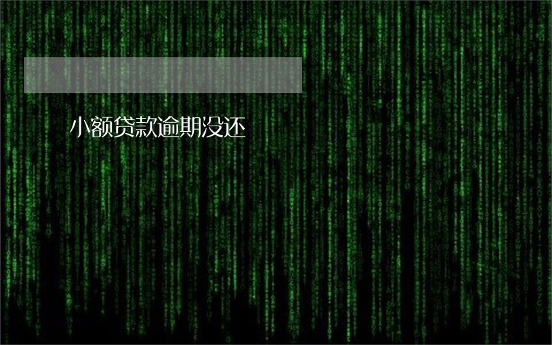 小额贷款逾期没还 小额贷款逾期没还