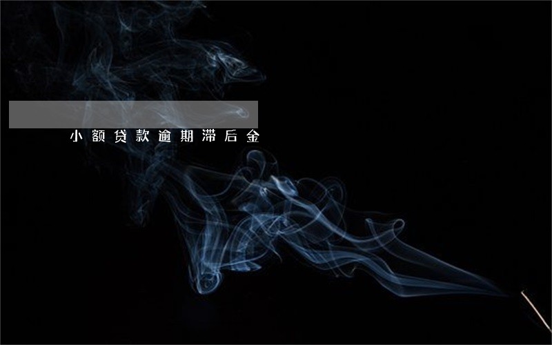 小额贷款逾期滞后金 小额贷款逾期滞后金