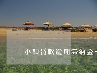 小额贷款逾期滞纳金一天30 小额贷款逾期滞纳金一天30
