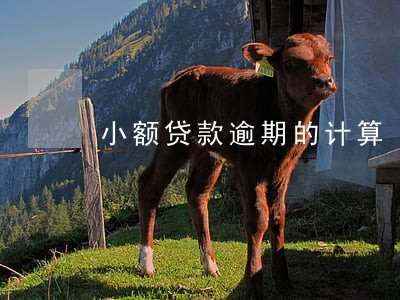小额贷款逾期的计算