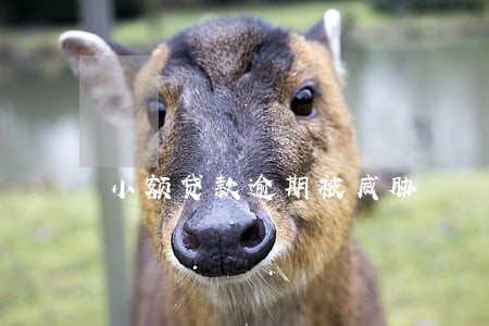 小额贷款逾期被威胁 小额贷款逾期被威胁