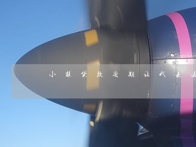 小额贷款逾期让我去法院