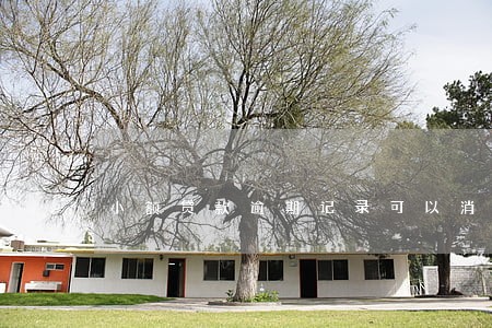 小额贷款逾期记录可以消除 小额贷款逾期记录可以消除