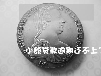 小额贷款逾期还不上了 小额贷款逾期还不上了