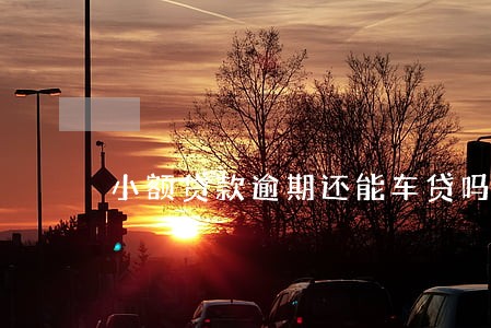 小额贷款逾期还能车贷吗 小额贷款逾期还能车贷吗