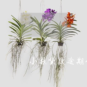 小额贷款逾期金额多少才合法 小额贷款逾期金额多少才合法
