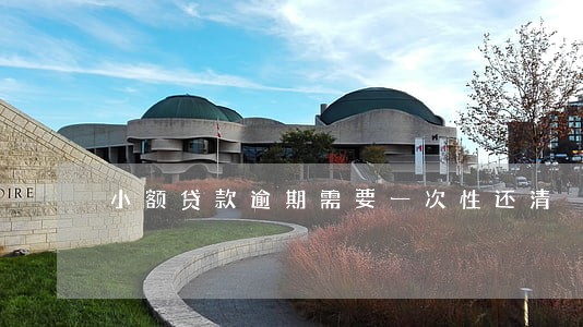 小额贷款逾期需要一次性还清