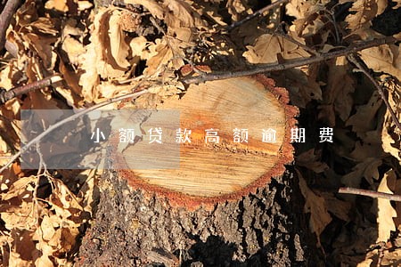 小额贷款高额逾期费 小额贷款高额逾期费