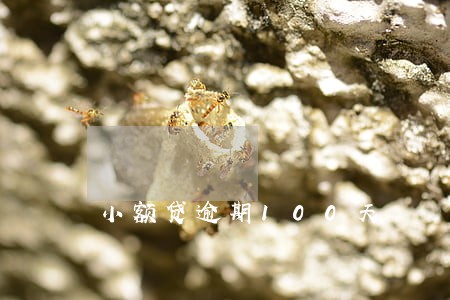 小额贷逾期100天 小额贷逾期100天
