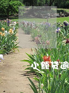 小额贷逾期3个月了 小额贷逾期3个月了