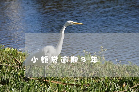 小额贷逾期3年