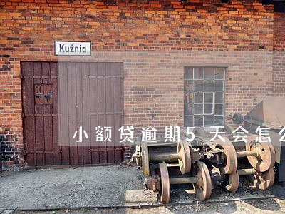小额贷逾期5天会怎么样 小额贷逾期5天会怎么样