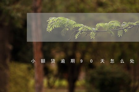 小额贷逾期90天怎么处理 小额贷逾期90天怎么处理