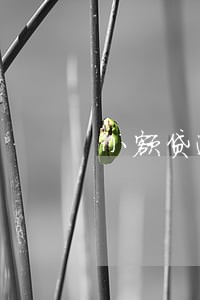 小额贷逾期一2年 小额贷逾期一2年
