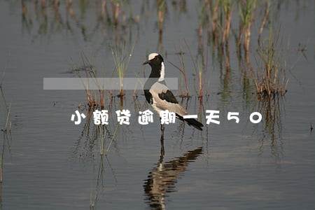 小额贷逾期一天50 小额贷逾期一天50