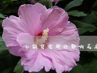 小额贷逾期会影响芝麻信用分吗 小额贷逾期会影响芝麻信用分吗