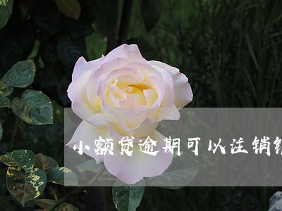 小额贷逾期可以注销银行卡吗 小额贷逾期可以注销银行卡吗