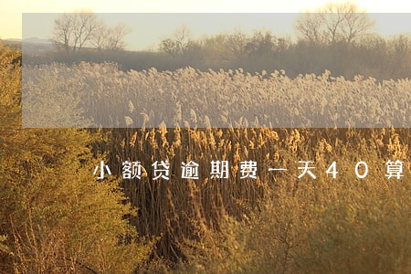小额贷逾期费一天40算违法吗