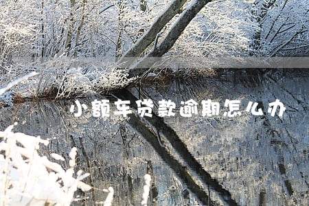 小额车贷款逾期怎么办 小额车贷款逾期怎么办