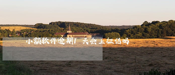 小额软件逾期1天会上征信吗