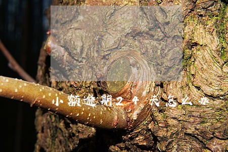 小额逾期24天怎么办 小额逾期24天怎么办