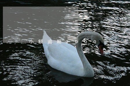 小额逾期3000 小额逾期3000